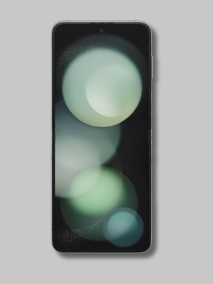 Samsung Galaxy Z Flip 5 256GB