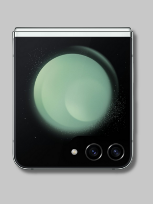 Samsung Galaxy Z Flip 5 256GB